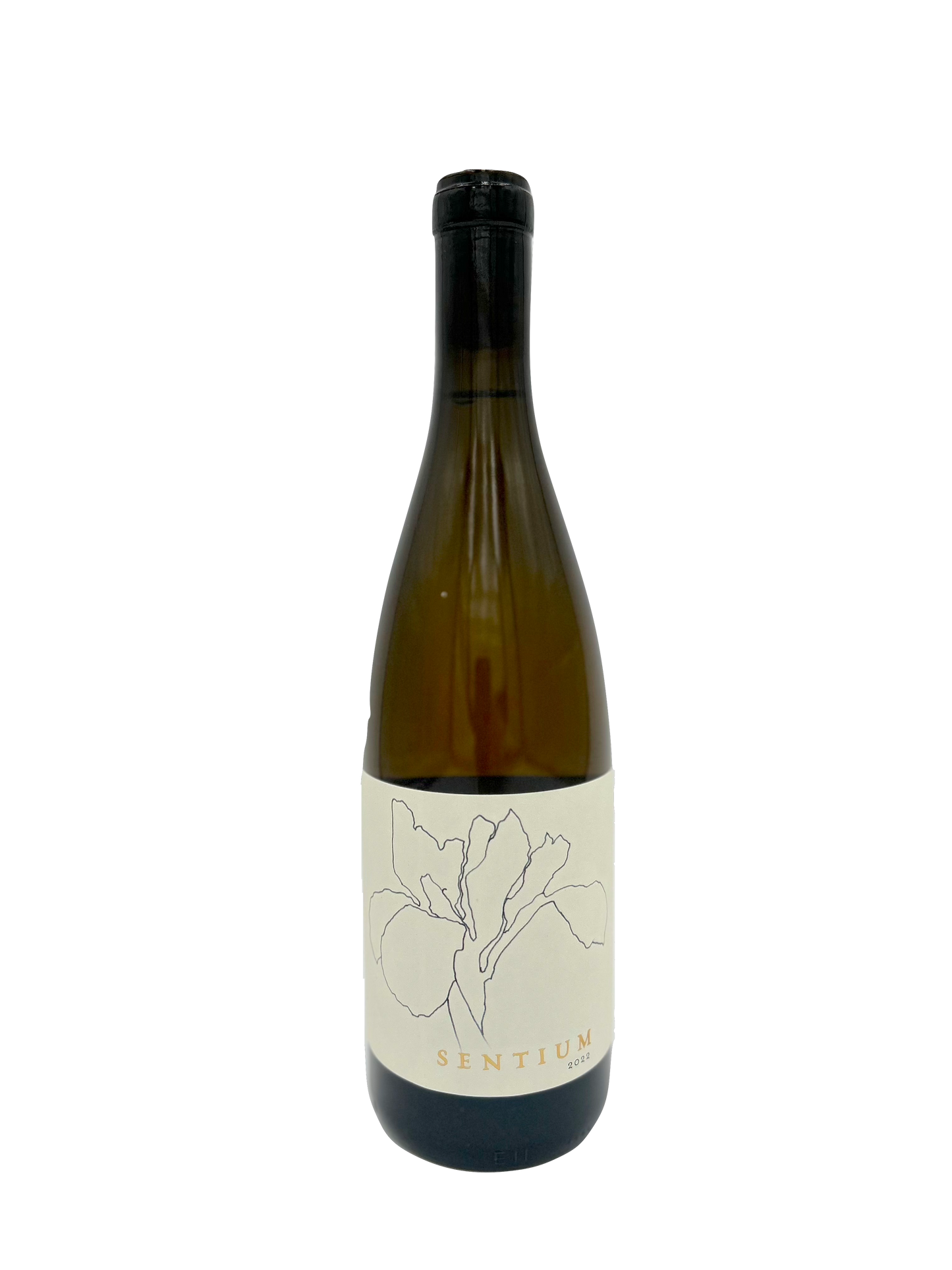 Sentium, Sauvignon Blanc, Mendocino, California 2022