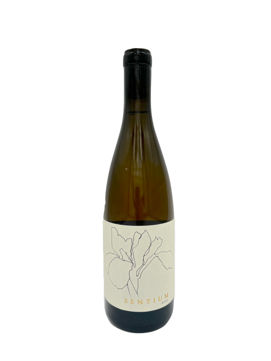 Sentium, Sauvignon Blanc, Mendocino, California 2022